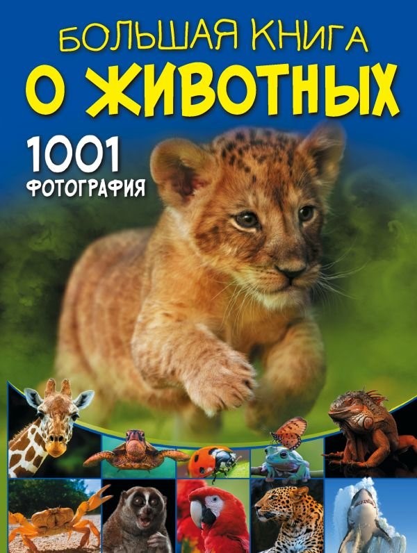 bookCover